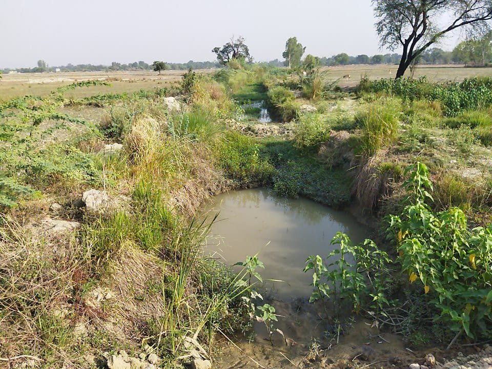 Raibareli-समय से सफाई ना होने से किसानों को रहे काफी दिक्कत कुसमी माइनस पटा