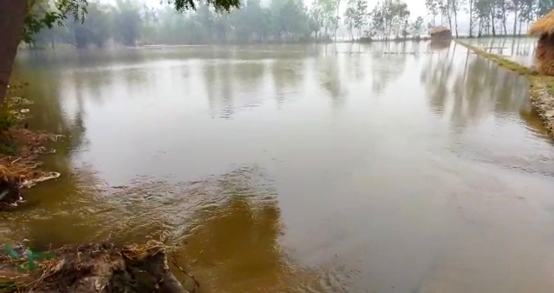 Raibareli-किसानों की लापरवाही से हुई कटान, सैकड़ों बीघे फसल जलमग्न ** 