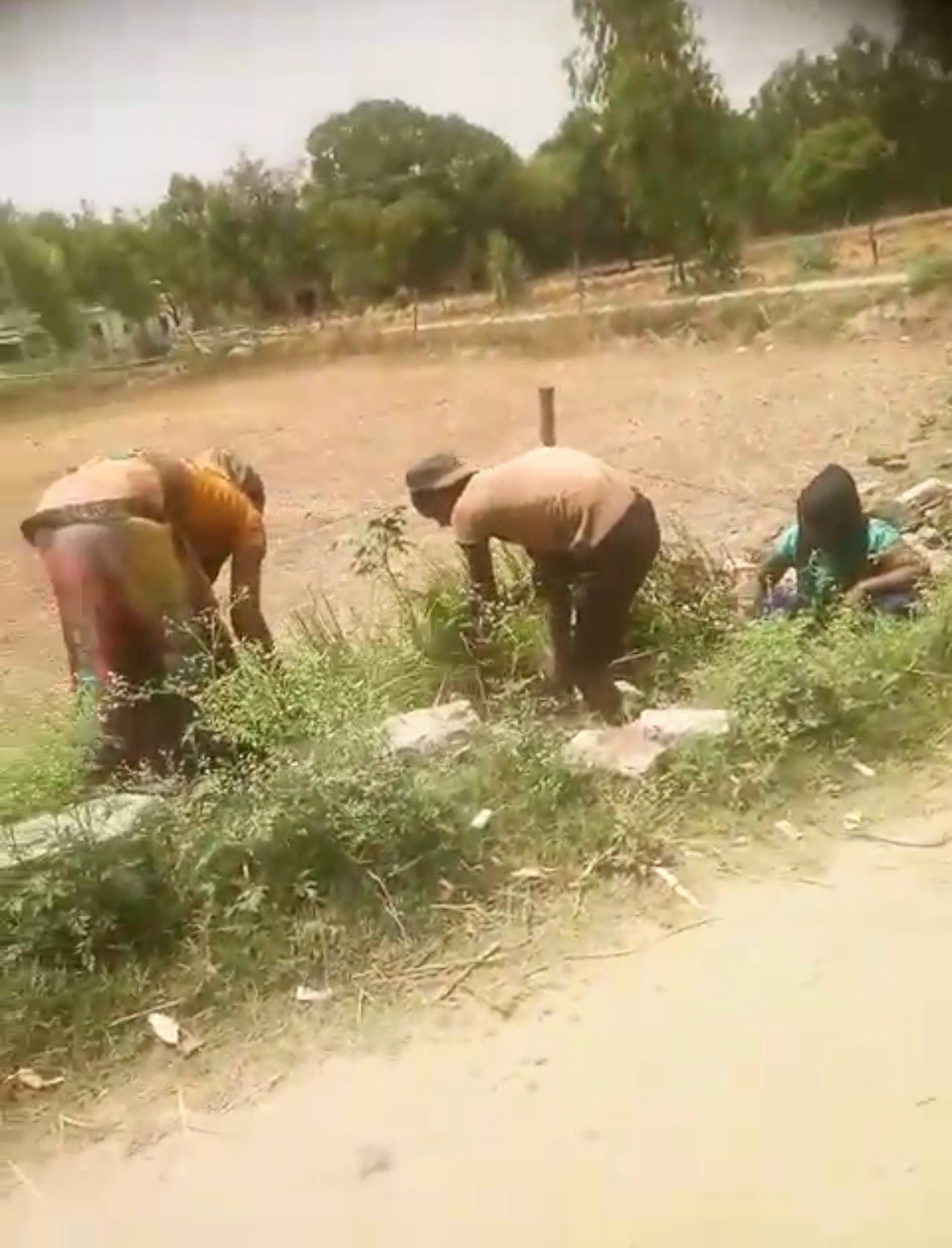 Raibareli-बिना अनुमति प्रधान ने तोड़वा दी गांव की नाली,ग्रामीणों ने वीडीओ किया वायरल