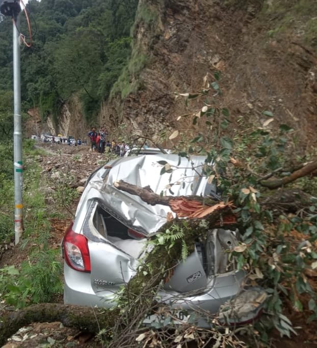 केदारनाथ हाईवे के पास कार के उपर गिरा पेड़, बाल बाल बचे सभी यात्री..