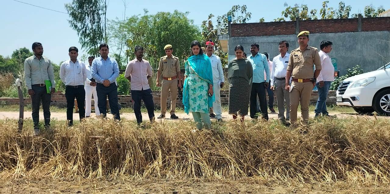 Raibareli-डीएम ने गेहूं  फसल की उपज का लिया जायजा