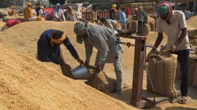 Raibareli-खरीद प्रकोष्ठ के लिए प्राप्त शिकायतों के लिए दूरभाष 0535-2975003 निर्धारित