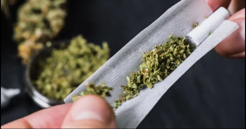 रायबरेली-घोरवारा में खुलेआम बेचा जा रहा है अवैध गांजा,युवा पीढ़ी बर्बाद