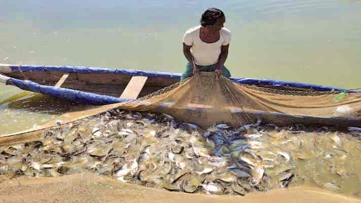 Raibareli-मुख्यमंत्री मत्स्य सम्पदा योजना नामक नवीन योजना का शुभारम्भ