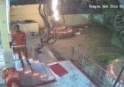 रायबरेली शहर के प्राचीन अभयदाता मंदिर में चोरी की घटना सीसीटीवी कैमरे में हुई कैद