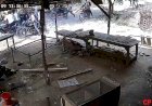 रायबरेली- बेखौफ़ दंबगो पर लगाम नहीं लगा पा रहे जगतपुर थाना प्रभारी