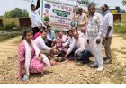रायबरेली विश्व पर्यावरण दिवस पर 'एक पेड़ मां के नाम' अभियान, अधिकारियों ने लगाए पौधे