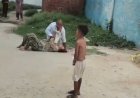 रायबरेली-महिलाओं से मारपीट का वीडियो वायरल,थानाध्यक्ष ने नहीं उठाया फ़ोन