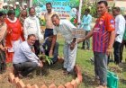 रायबरेली-नवागत बीईओ सुरेंद्र कुमार ने संभाली हरियाली की कमान, 'एक पेड़ मां के नाम' अभियान में किया वृहद वृक्षारोपण
