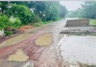 रायबरेली जनपद को उन्नाव कानपुर से जोड़ने वाले मार्ग पर बना पुल वर्तमान समय में हो रहा है प्रशासनिक उपेक्षा का शिकार