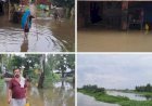रायबरेली क्षेत्र में आई बाढ़ से हजारों बीघे धान की फसल जलमग्न, किसानों के चेहरो पर छाई मायूसी