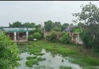 मलिकपुर सरैया प्राथमिक विद्यालय बदहाली का शिकार