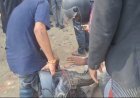 रायबरेली-ऑटो सेंटर पर हेलमेट खरीदने को लेकर विवाद, दुकानदार पर पिटाई का आरोप