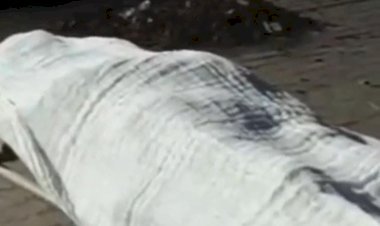 ऊंचाहार:तेज रफ्तार डम्पर की टक्कर से टेम्पो चालक की मौत, मचा कोहराम,,,,?