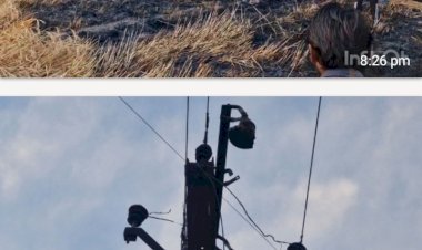 रायबरेली-विद्युत पोल से निकली चिंगारी गेहूं की फसल में लगी आग, समय रहते ग्रामीणों ने पाया आग पर काबू