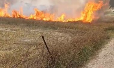 रायबरेली-शॉर्ट सर्किट से लगी आग ने मचाया तांडव  बिजली विभाग की लापरवाही किसानों पर पड़ रही भारी