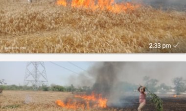 रायबरेली-शॉर्ट सर्किट से दो बीघे गेहूं की फसल जलकर हुई राख