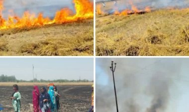 रायबरेली-शॉर्ट सर्किट से गेहूं की फसल में लगी आग, 30 बीघा फसल जलकर खाक