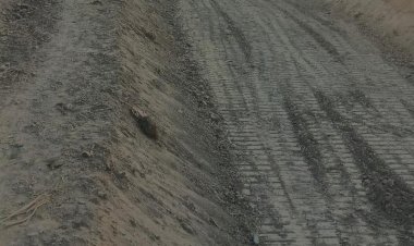 रायबरेली-डलमऊ कैनाल नहर में सफाई कार्य प्रारम्भ होने से किसानो में खुशी कि लहर।