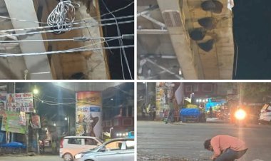 रायबरेली-कस्बे के मुख्य चौराहे पर भरभरा कर गिरे मधुमक्खियों का छत्ते, टला बड़ा हादसा