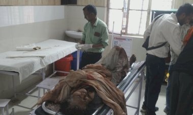 रायबरेली-हाईवे किनारे जा रही वृद्ध महिला को अज्ञात वाहन ने मारी टक्कर, हालत गंभीर