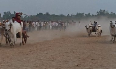 रायबरेली-बैलगाड़ी दौड़ प्रतियोगिता में शिवा ने मारी बाजी