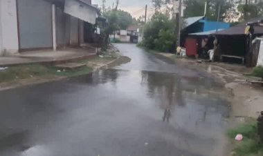 रायबरेली बदला मौसम का मिजाज, बारिश से धान की नर्सरी को मिली संजीवनी