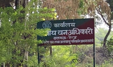 रायबरेली-डलमऊ रेंज में तैनात वन दरोगा आशीष मौर्या का ठेकेदारों पर आशीर्वाद!