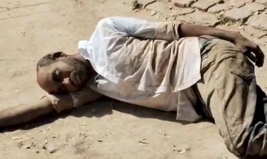 रायबरेली तेज धूप में सड़क किनारे नशे की हालत में धुत पड़े युवक का वीडियो हुआ वायरल