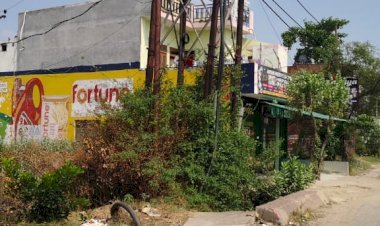 रायबरेली विद्युत विभाग की लापरवाही से हाइवे पर दिन में जलती रहती स्ट्रीट लाइटें