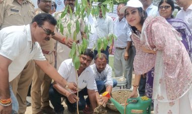 रायबरेली-एक पेड़ माँ के नाम' से गूंजा बूढ़नपुर, सदर विधायक अदिति सिंह ने किया वृहद वृक्षारोपण का शुभारंभ