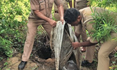 रायबरेली-अवैध शराब के विरुद्ध आबकारी विभाग का अभियान जारी*