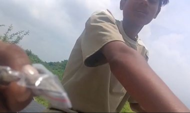 रायबरेली में खुलेआम अवैध गांजा कारोबार का वीडियो वायरल, पुलिस की कार्यशैली पर उठे सवाल