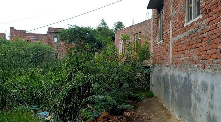 रायबरेली- ऊंचाहार नगर में सुरक्षित व तालाब कि भूमि पर अवैध कब्जा जारी,लेखापाल को नही है समय,,,