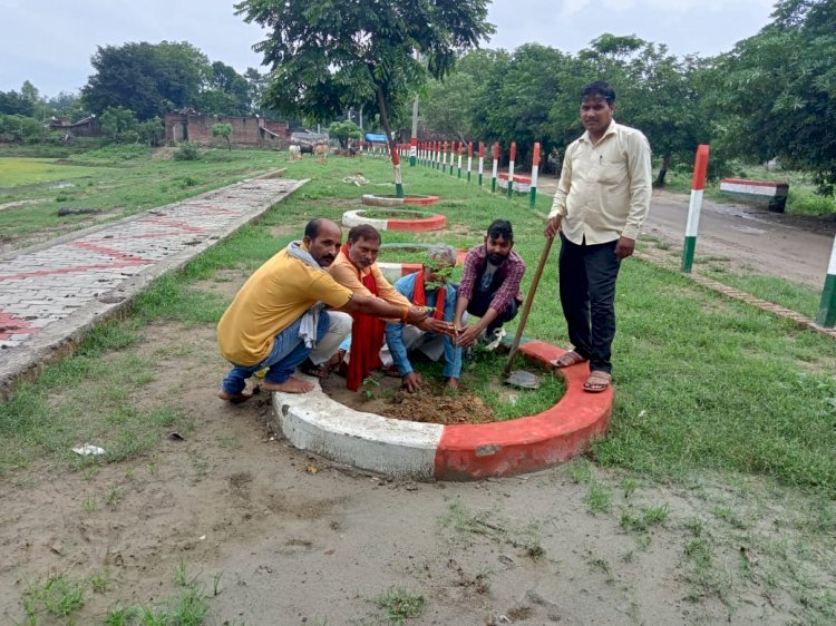 Raibareli-सेवा पखवाड़ा के तहत भाजपाइयों साफ-सफाई कर किया वृक्षारोपण*