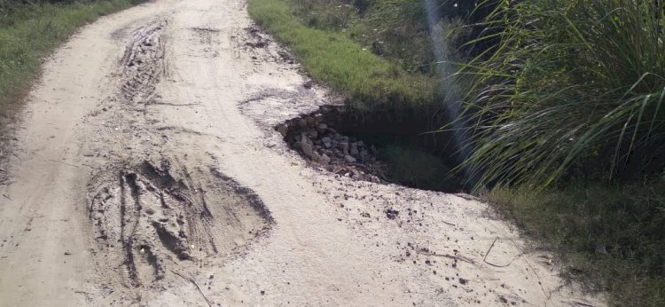 तेज बारिश से आवाजाही में हो रही परेशानी*