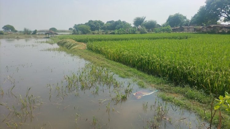 Raibareli-गंगा के जल स्तर में वृद्धि से कटरी क्षेत्र के किसानों की उड़ी नींद*