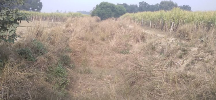 रायबरेली-सरेनी क्षेत्र के रजबहों में धूल उड़ने से किसान परेशान*