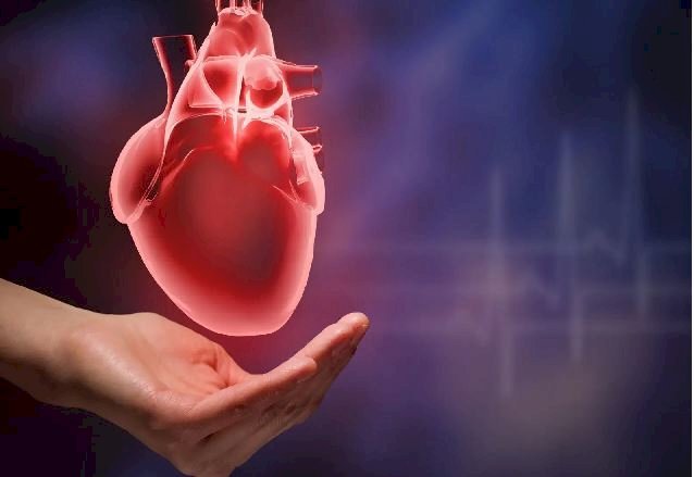 ठंड में बढ़ रहे हार्ट अटैक के मामले, क्या है वजह और कैसे रखें दिल का ख्याल ? पढें पूरी खबर….