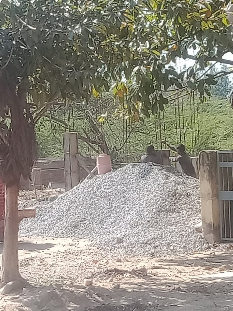 रायबरेली-ग्राम पंचायत की भूमि पर हो रहा अवैध निर्माण,,,,