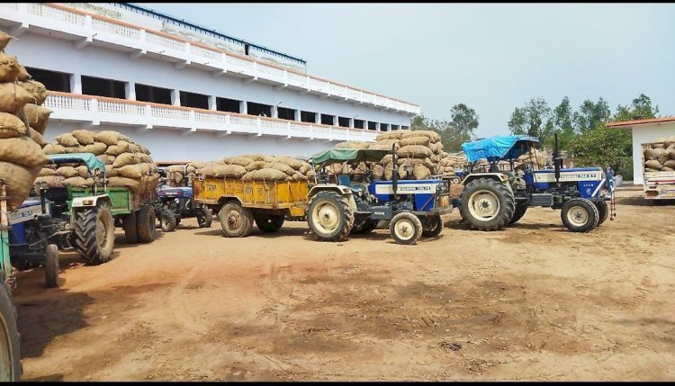 Raibareli-किसानों का आलू हो रहा है आसानी से जमा