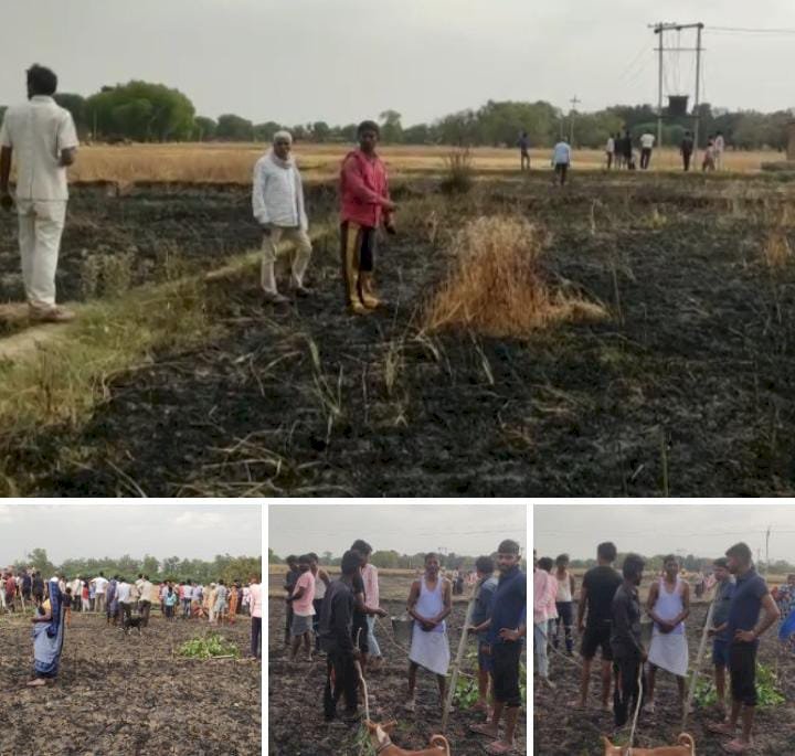 रायबरेली-ट्रांसफार्मर की चिंगारी से पांच किसानों के खेतों में खड़ी गेहूं की फसल जलकर हुइ राख,,,