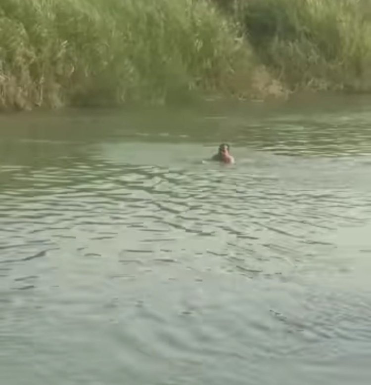 Raibareli-भदोखर थानेदार ने पेस की मानवता,पढ़िए पूरी खबर