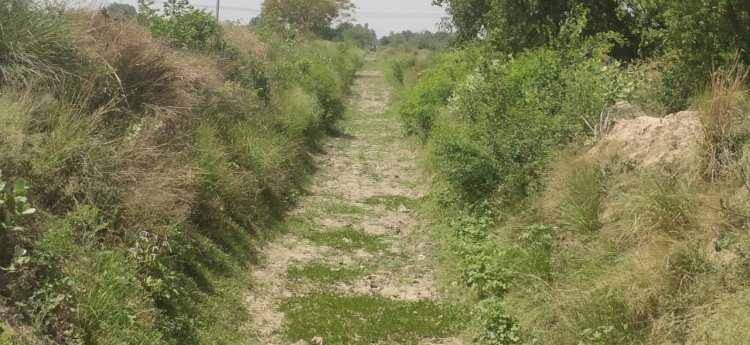 रायबरेली-सूखी नहरों के बीच किसानों के सामने धान की नर्सरी डालने का संकट,,,,