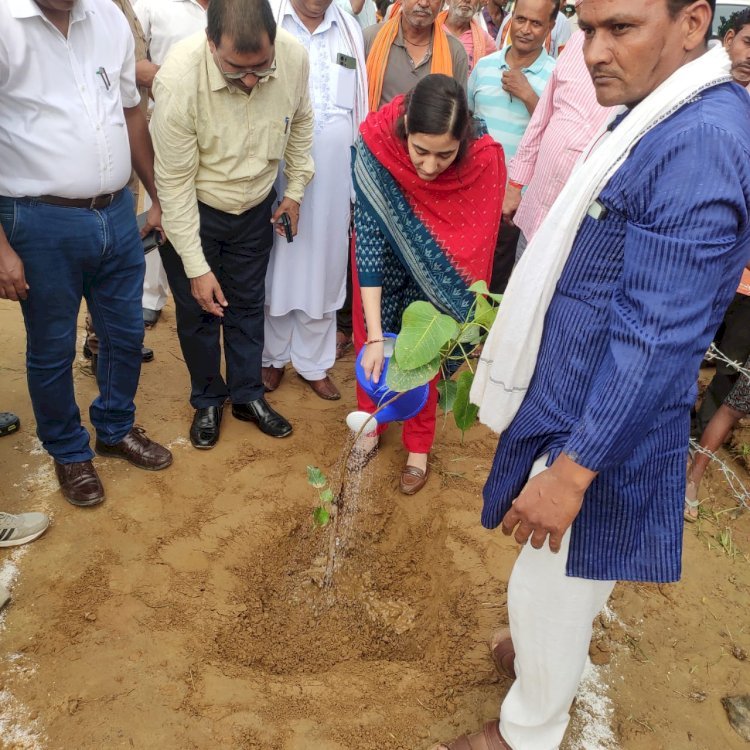 Raibareli-सीडीओ ने विकासखंड सतांव में नव निर्मित गो आश्रय स्थल केंद्र ताला का किया लोकार्पण
