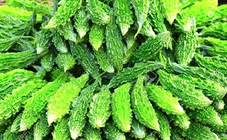 डायबिटीज ही नहीं इन रोगों का भी दुश्मन है करेला, बस इस तरह से करें प्रयोग !