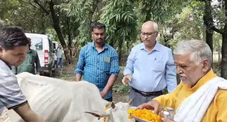 Raebareli:जन्माष्टमी के पर्व पर गौवंशो की पूजा कर गौशालाओं की स्थिति को बेहतर बनाने के दिए निर्देश