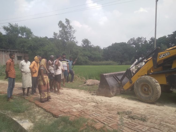 रायबरेली-मदारीपुर ग्राम प्रधान ने करवाया मृत नीलगाय वंश का अंतिम संस्कार,,,,