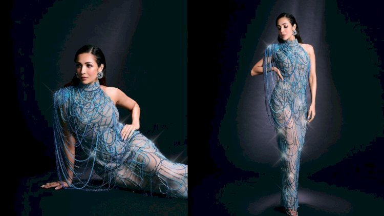 50 साल की हुईं मलाइका अरोड़ा, आइटम नंबर कर बॉलीवुड में बनाई अपनी पहचान