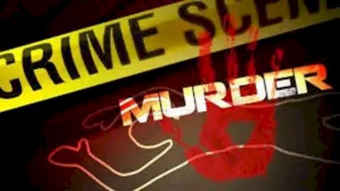 उन्नाव में शराब के नशे में ईंट से हमला कर छोटे भाई की हत्या